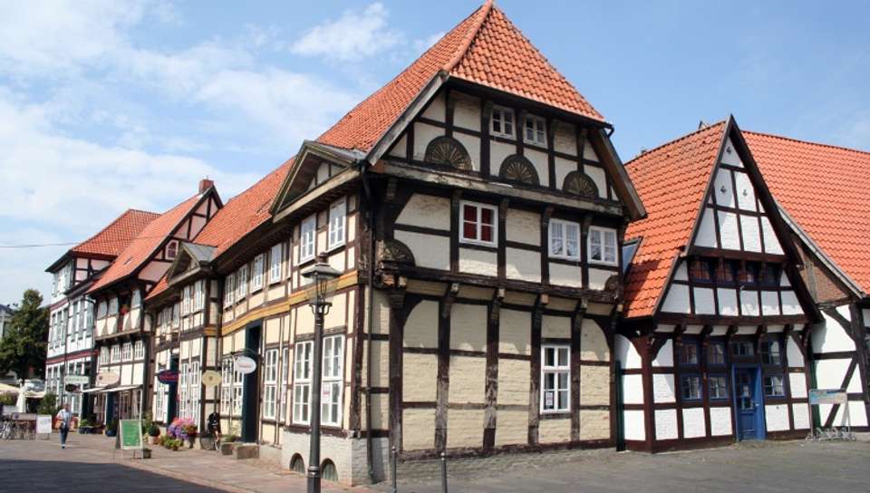 Image 7 of 12