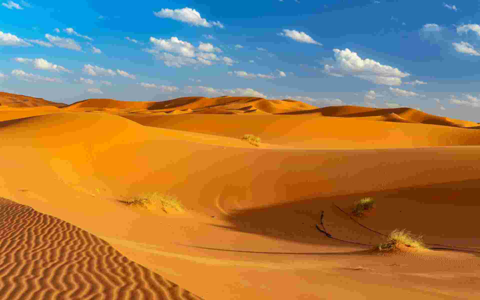 From Marrakesh to Lisbon