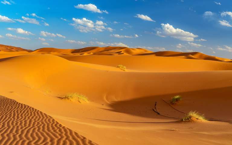 Marrakech Walking Tour: From Marrakesh to Tangier