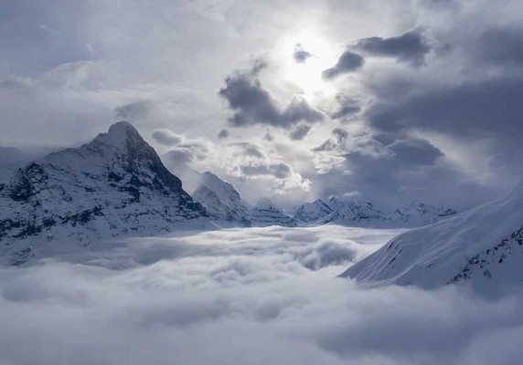 Image 5 of 8