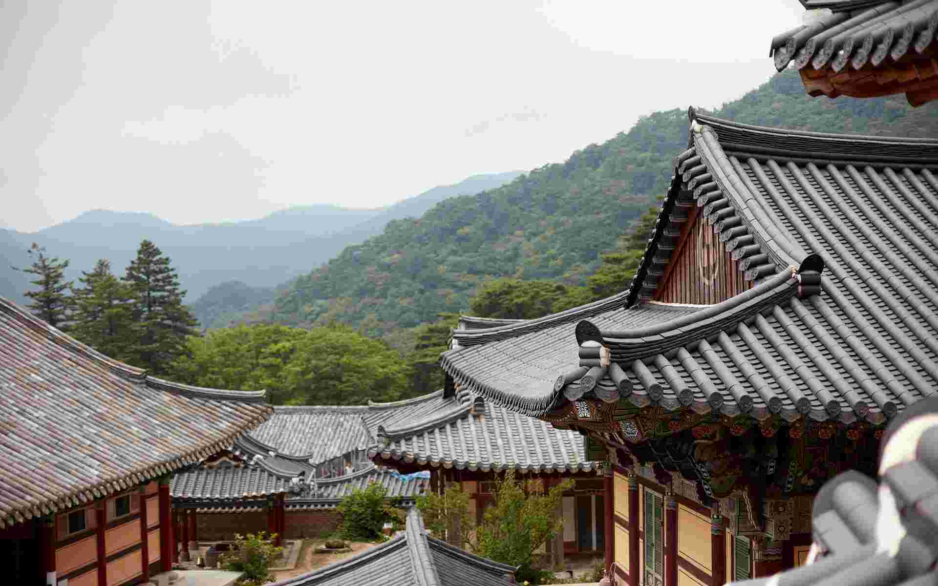 From Seoul to Hiroshima