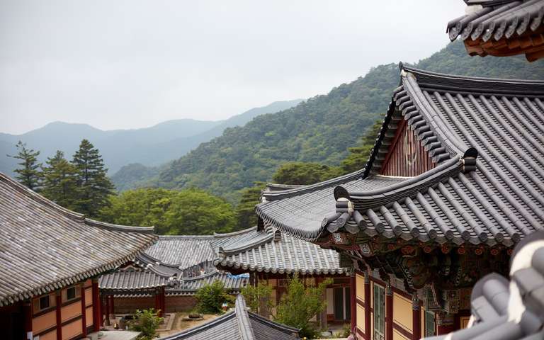 From Seoul to Hiroshima trip - alternative tour available