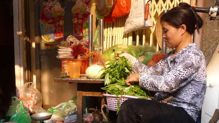 From the Mekong Delta to the Temples of Angkor & Hanoi and Halong Bay (port-to-port cruise) trip - alternative tour available