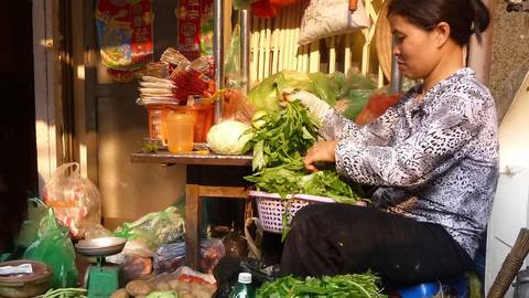 Asia Last Minute Deals: From The Mekong Delta To The Temples Of Angkor & Hanoi And Halong Bay (port-to-port Cruise)