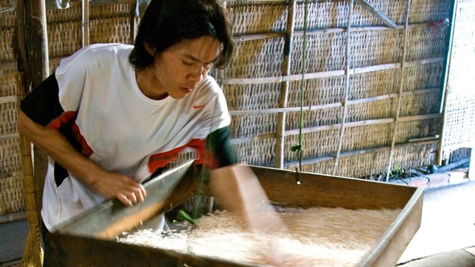 From the Mekong Delta to the Temples of Angkor & The Imperial Cities (port-to-port cruise) - Croisieurope - Vietnam - Image 9