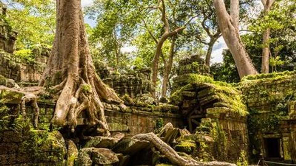From the temples of Angkor to the Mekong Delta, experience unique and exotic end-of-year celebrations & The Imperial Cities (port-to-port cruise) - Croisieurope - Cambodia - Image 6