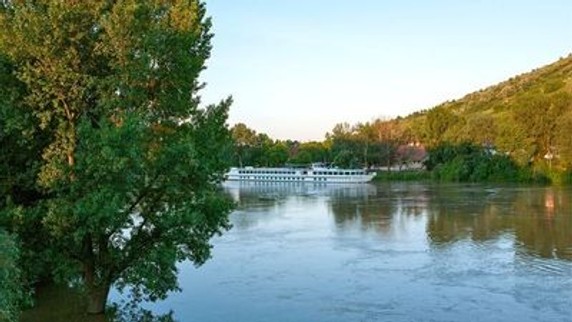 Image 4 of 9