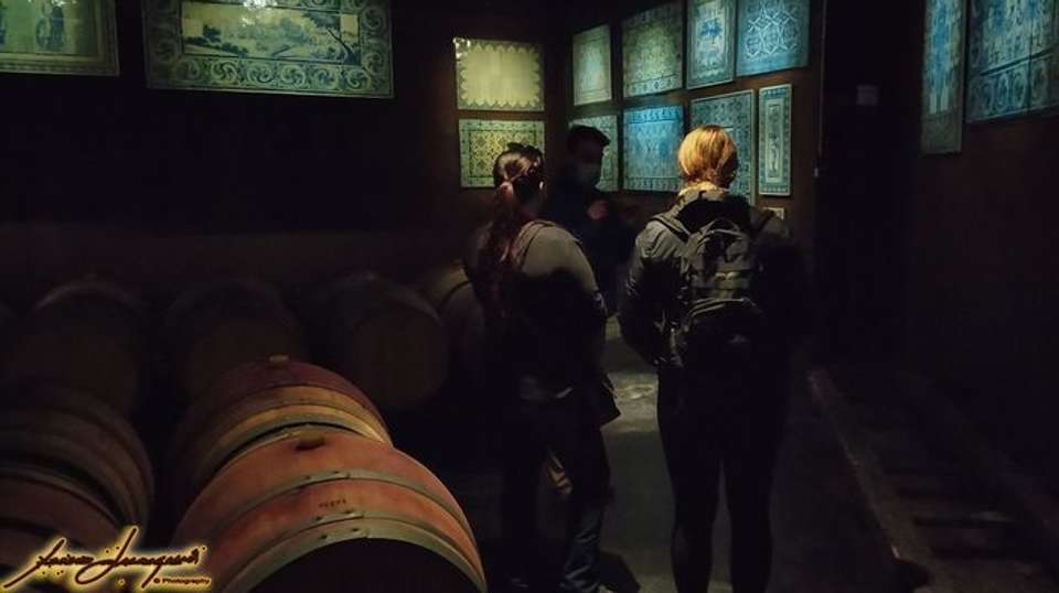 Full-Day Arrábida Wine Tour with Wine and Food Tasting - Look Around Tours - Portugal - Image 6
