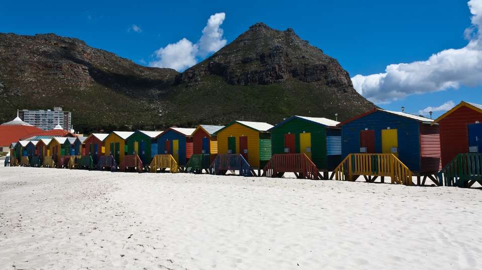 Full Day Cape Peninsula Tour - Cullinan Guided Journeys - South Africa - Image 2