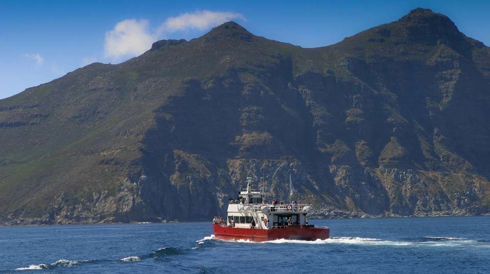 Full Day Cape Peninsula Tour - Cullinan Guided Journeys - South Africa - Image 5