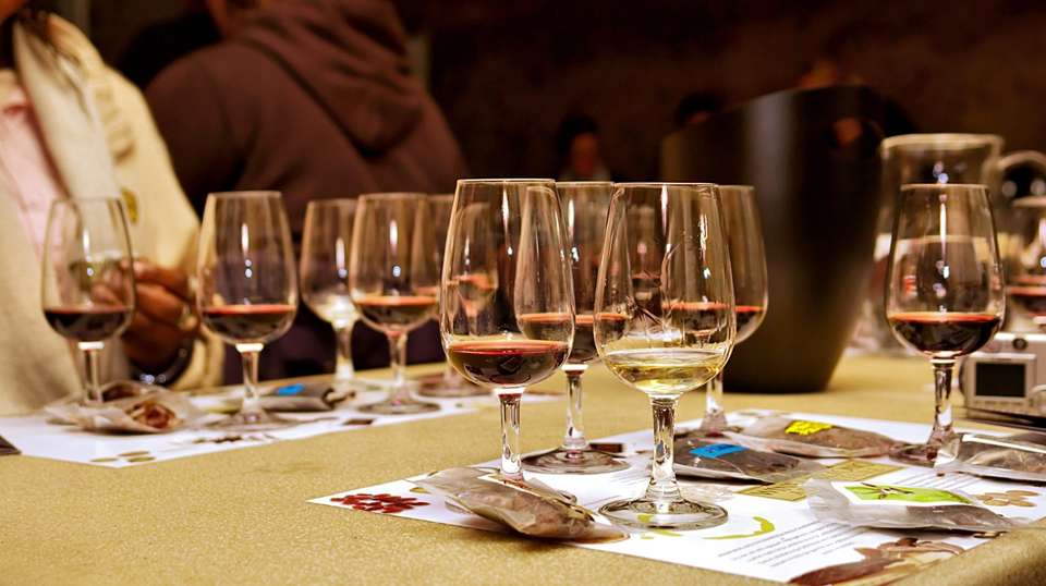 Full Day Cape Winelands Tour - Cullinan Guided Journeys - South Africa - Image 8