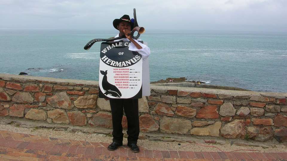 Full Day Hermanus Tour - undefined - Image 6