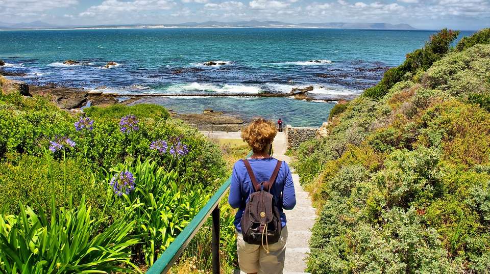 Full Day Hermanus Tour - undefined - Image 7