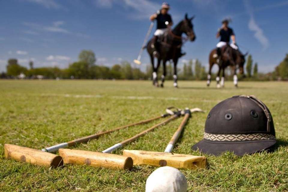 Full-Day Polo Experience with Exhibition Match - Tangol Tours - Argentina - Image 2
