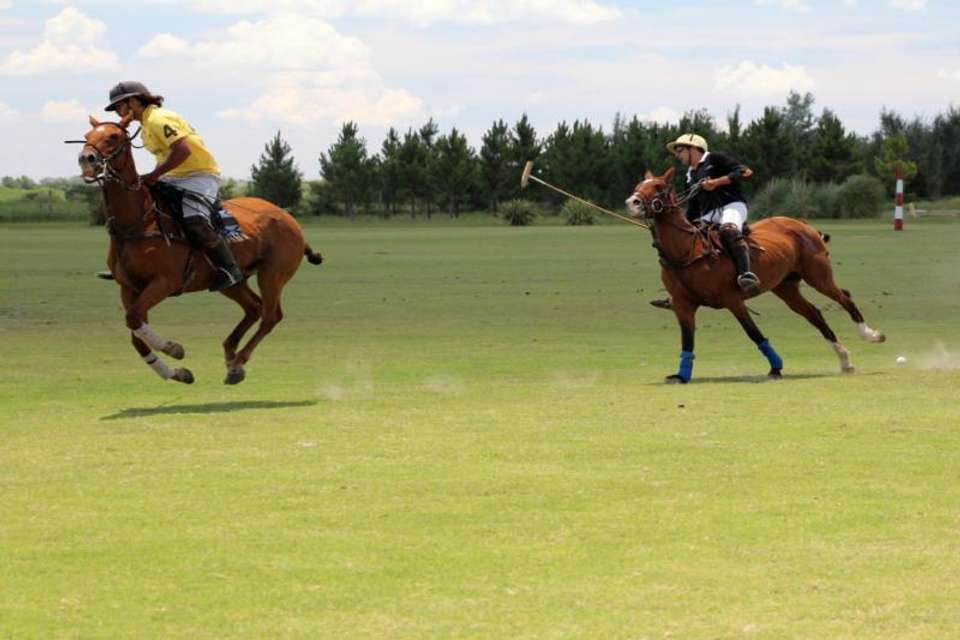 Full-Day Polo Experience with Exhibition Match - Tangol Tours - Argentina - Image 5
