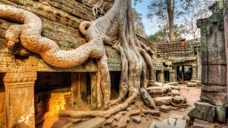 Full-day, Small Group Angkor Wat Tour from Siem Reap - V Happy Travel - Cambodia - Image 3