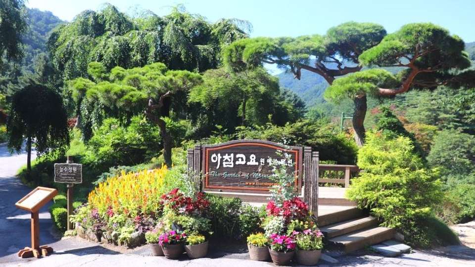 Full Day Tour to Nami island & Garden of Morning Calm - Vip Travel - South Korea - Image 2
