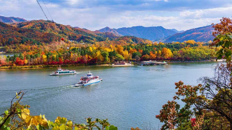 Full Day Tour to Nami island & Garden of Morning Calm - Vip Travel - South Korea - Image 1
