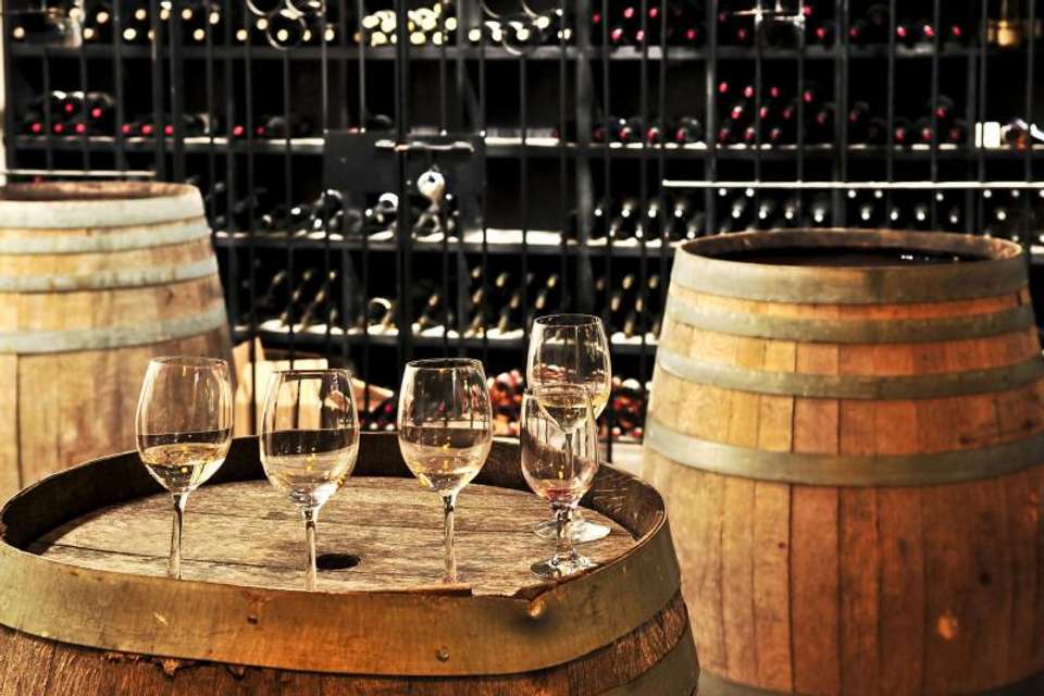 Full Day Wine Tasting including lunch from Mendoza - Tangol Tours - Argentina - Image 2