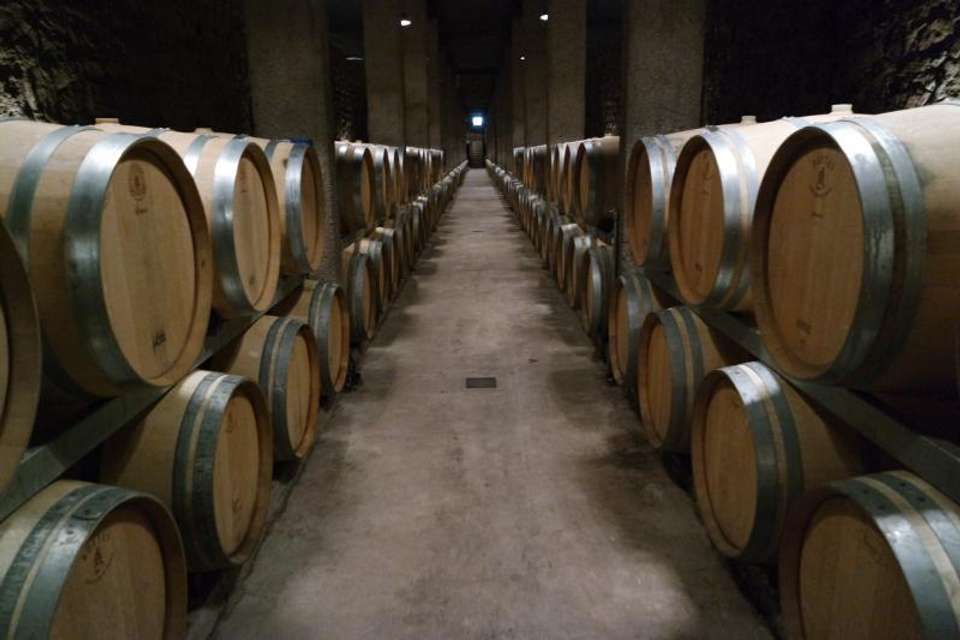 Full Day Wine Tasting including lunch from Mendoza - Tangol Tours - Argentina - Image 6