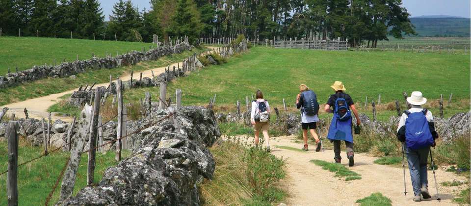 Full Le Puy Camino - Utracks - France - Image 5