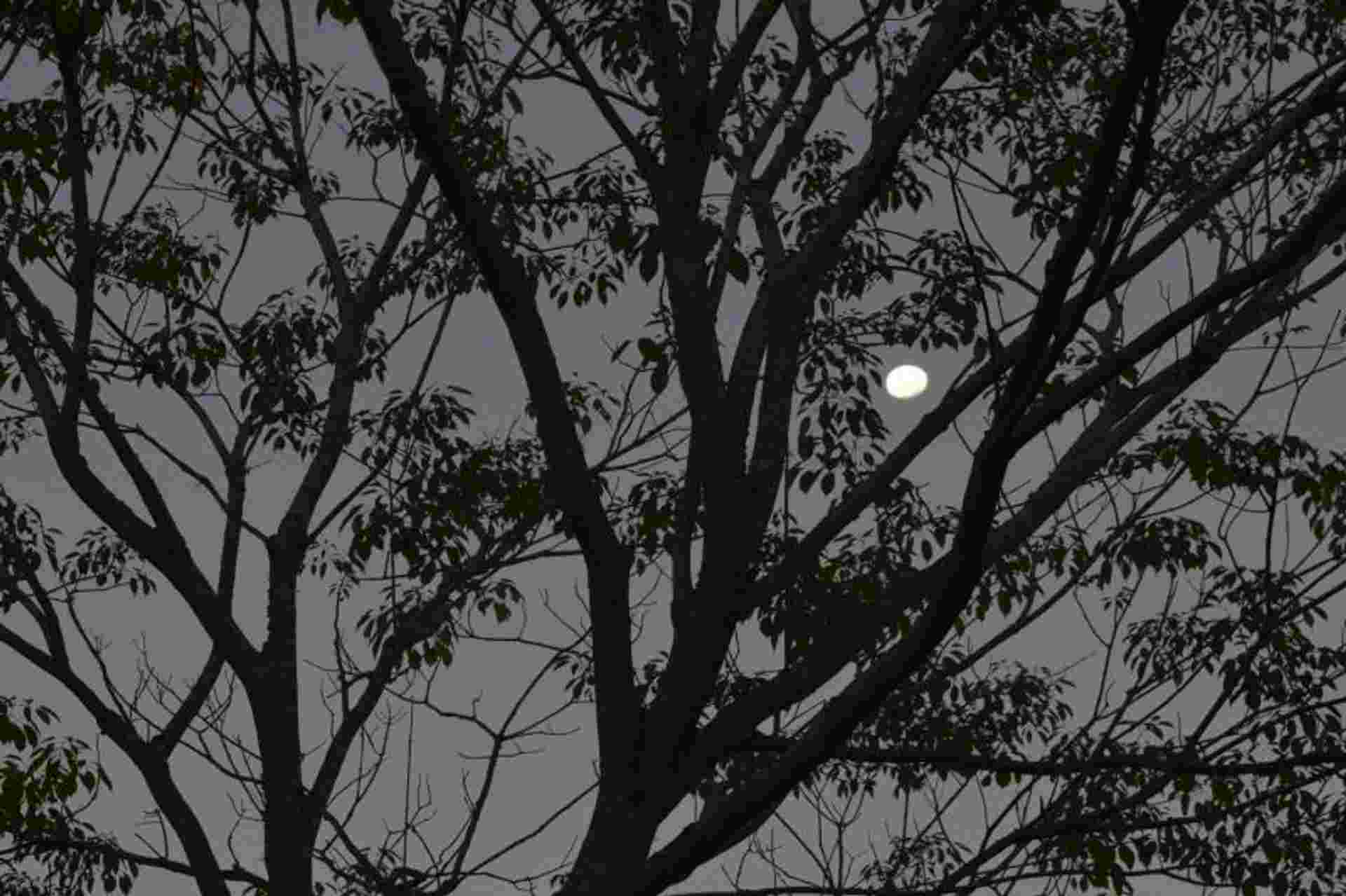 Full Moon Experience at Iguazu Falls