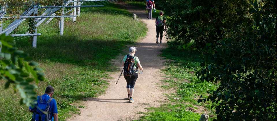 Full Portuguese Camino - Utracks - Portugal - Image 5