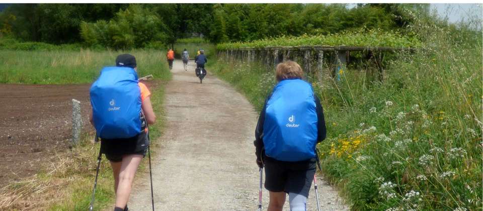Full Portuguese Camino - Utracks - Portugal - Image 7
