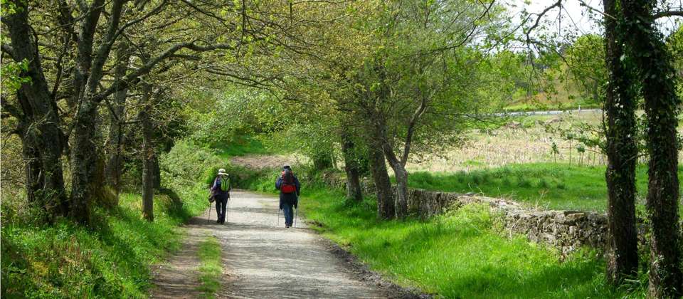 Full Spanish Camino Plus - Utracks - France - Image 9