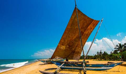 Bicycle Tour: Full Sri Lanka Adventure 14d/13n