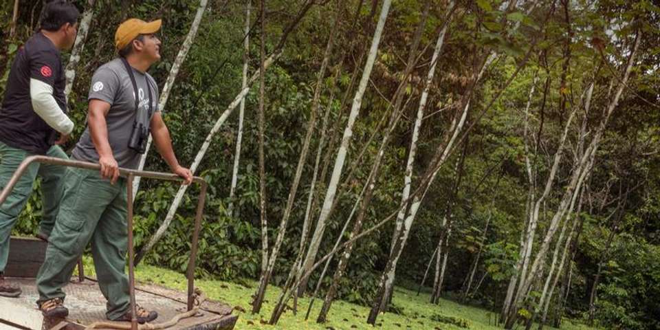 G Lodge Amazon - 5 Day Independent Adventure - G Adventures - Peru - Image 6