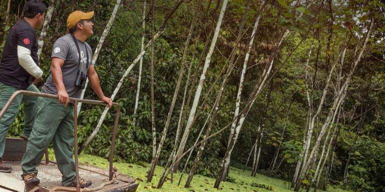 G Lodge Amazon - 5 Day Independent Adventure trip - alternative tour available