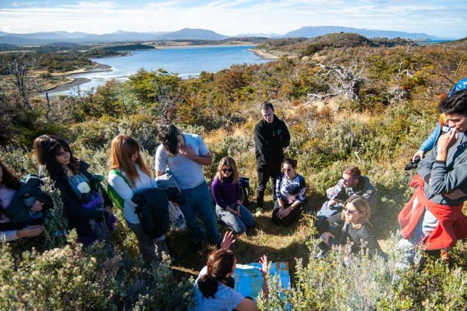 Gable Island And Penguin Watching - Tangol Tours - Argentina - Image 7