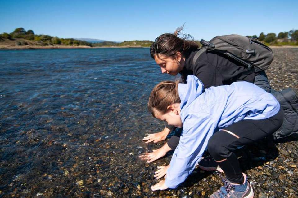 Gable Island And Penguin Watching - Tangol Tours - Argentina - Image 8