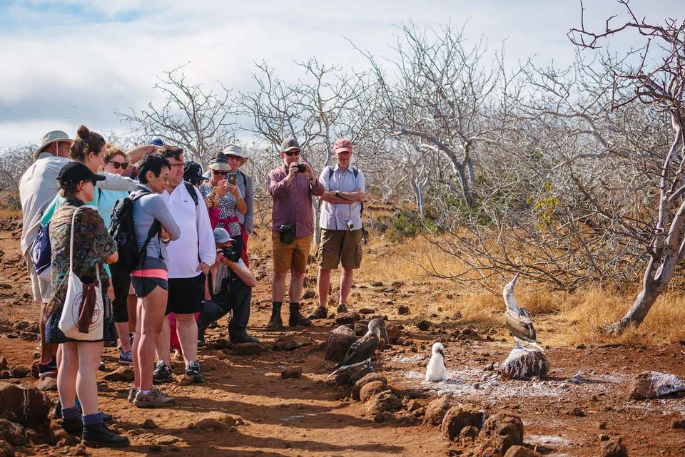 Galapagos Adventure: Northern Islands (Grand Daphne) - Intrepid Travel - Ecuador - Image 2
