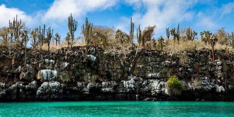 Galápagos Adventure: Snorkelling & Sea Lions trip - alternative tour available