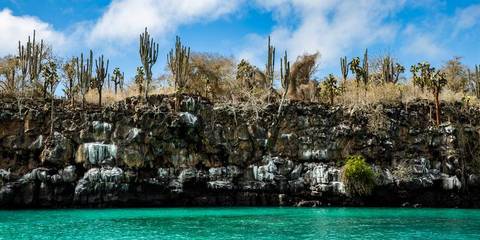 Galápagos Adventure: Snorkelling & Sea Lions - December 2026
