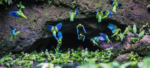 Quito Wildlife Tour: Galapagos & Amazon (archipel I)