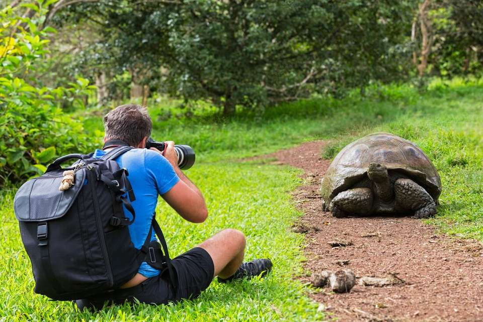 Galapagos at a Glance: Southern Islands (Grand Daphne) - Intrepid Travel - Ecuador - Image 3