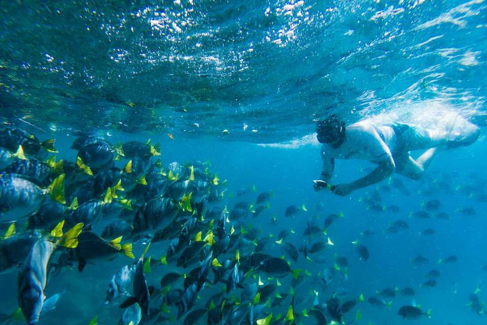 Galapagos at a Glance: Southern Islands (Grand Daphne) - Intrepid Travel - Ecuador - Image 6
