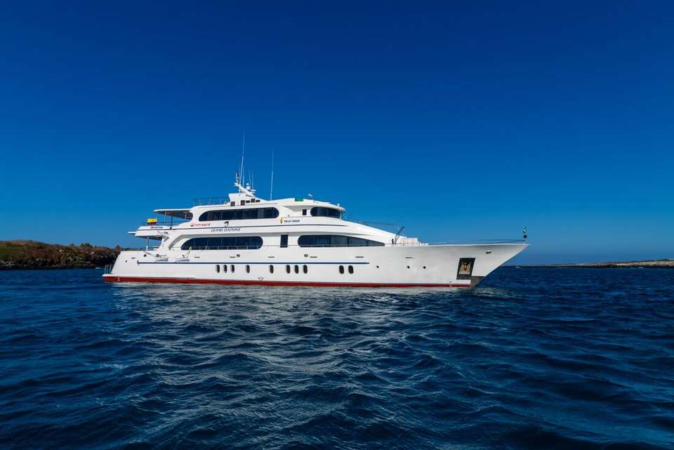 Galapagos at a Glance: Southern Islands (Grand Daphne) - Intrepid Travel - Ecuador - Image 10