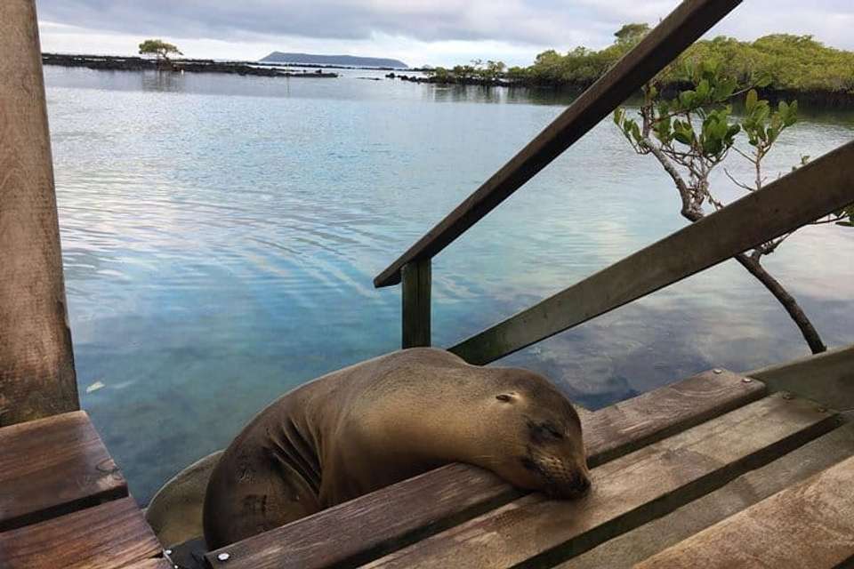 Galapagos Biking, Hiking & Snorkeling - 5 days - undefined - Image 6
