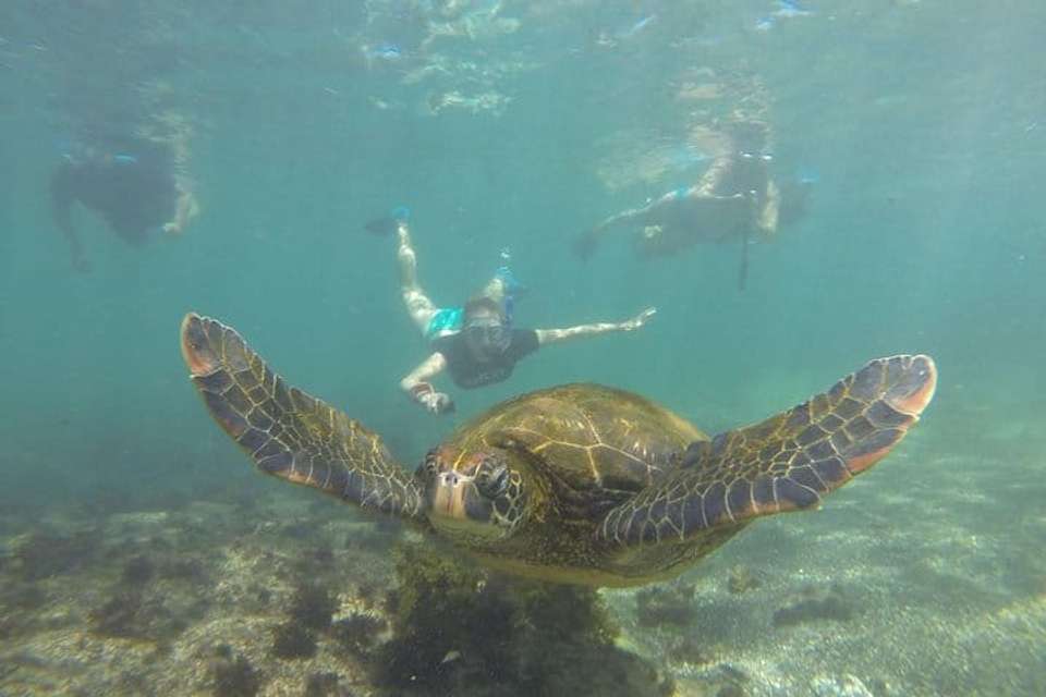 Galapagos Biking, Hiking & Snorkeling - 5 days - undefined - Image 9