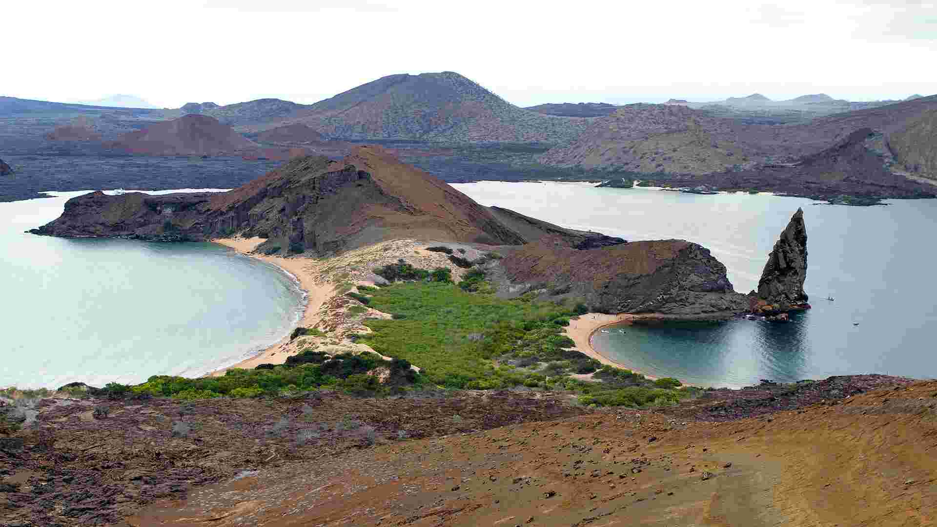 Galápagos – Central and East Islands aboard the Reina Silvia Voyager (Cruise Only)