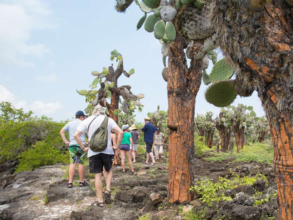 Galápagos – Central and East Islands aboard the Reina Silvia Voyager (Cruise Only) - G Adventures - Ecuador - Image 14