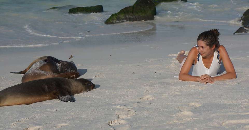 Galapagos - Central & West Islands aboard the Treasure - Explore - Ecuador - Image 7
