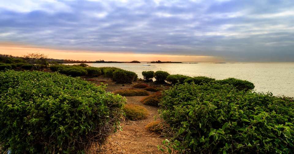Galapagos - Central, North, South and East Islands aboard the Archipel I - Explore - Ecuador - Image 15