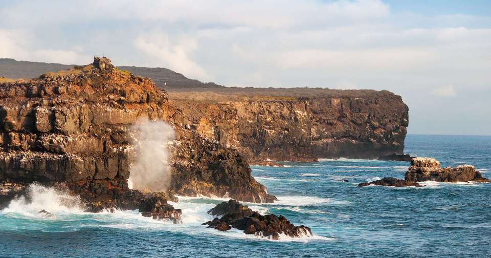 Galapagos - Central, North, South and East Islands aboard the Archipel I - Explore - Ecuador - Image 11