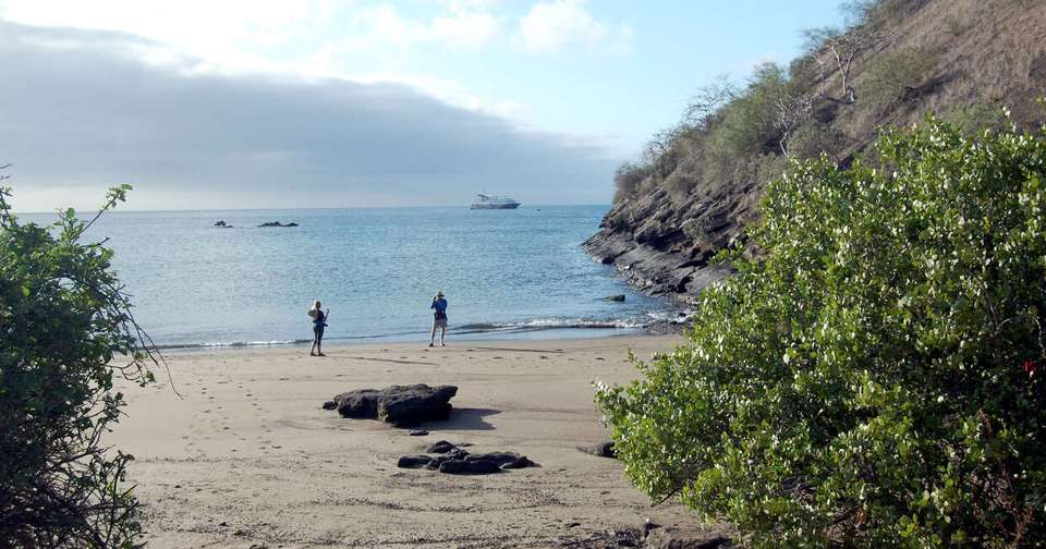 Galapagos - Central, North, South and East Islands aboard the Archipel I - Explore - Ecuador - Image 10