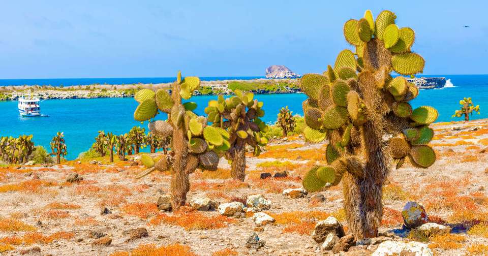 Galapagos - Central, North, South and East Islands aboard the Archipel I - Explore - Ecuador - Image 7